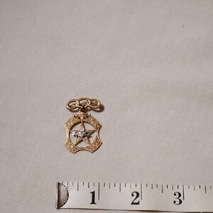 Vintage IOOF Rebekah 10K Star Dove Three Links Membership Pin